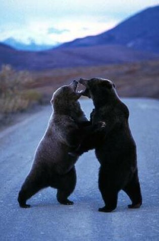 Cover of Two Grizzly Bears Fighting in the Road Journal