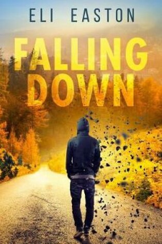 Cover of Falling Down