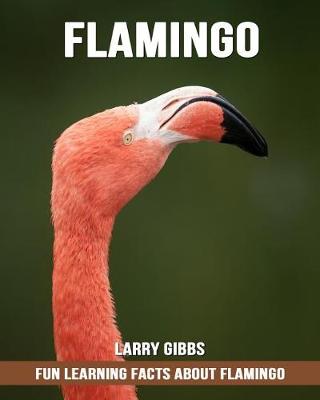 Book cover for Fun Learning Facts about Flamingo