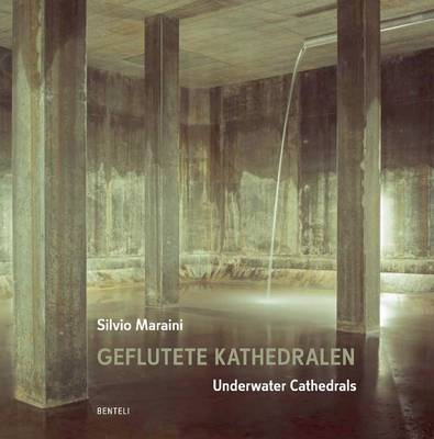 Book cover for Underwater Cathedrals