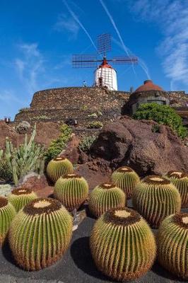 Book cover for Cactus Plants and a Windmill Journal