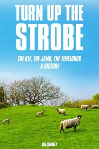 Cover of Turn Up The Strobe