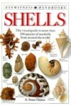 Book cover for Shells