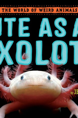Cover of Cute as an Axolotl