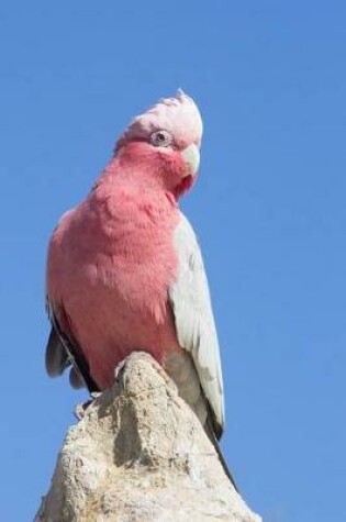 Cover of Galah Cockatoo Journal