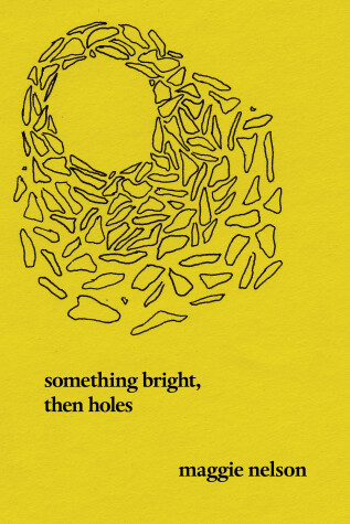 Book cover for Something Bright, Then Holes