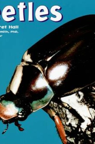 Cover of Beetles