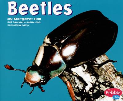 Cover of Beetles