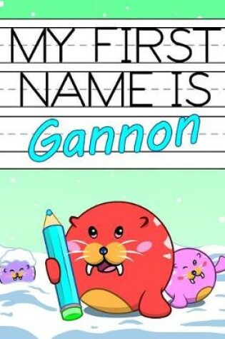 Cover of My First Name Is Gannon