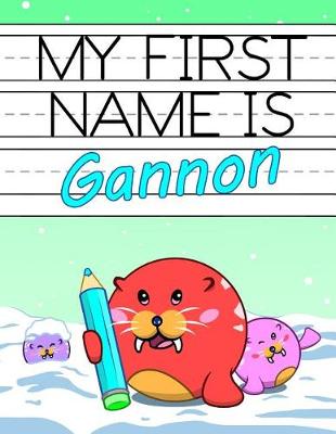 Book cover for My First Name Is Gannon