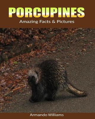 Book cover for Porcupines