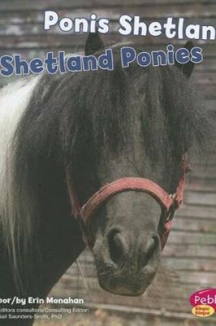 Cover of Ponis Shetland/Shetland Ponies