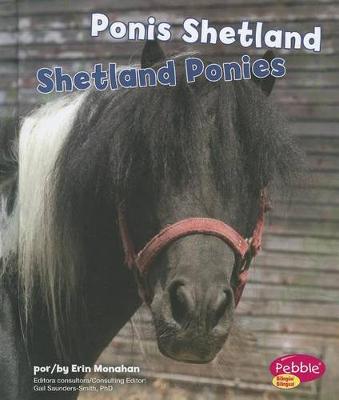 Book cover for Ponis Shetland/Shetland Ponies