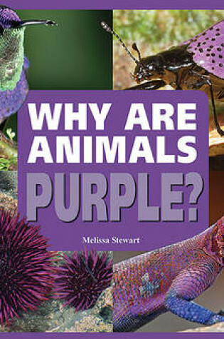 Cover of Why are Animals Purple?