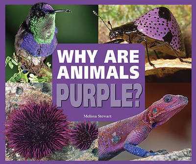 Book cover for Why are Animals Purple?