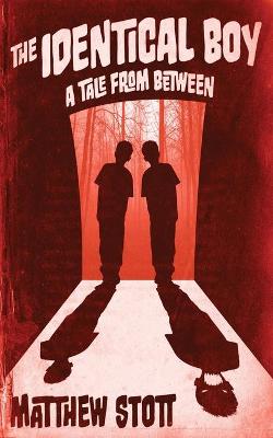 Book cover for The Identical Boy