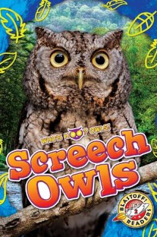 Cover of Screech Owls