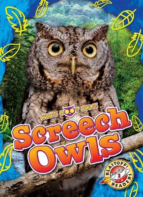 Cover of Screech Owls