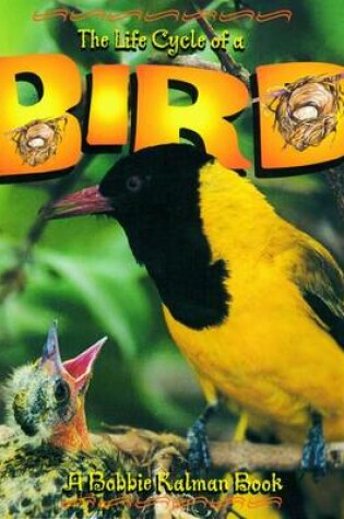 Cover of The Life Cycle of a Bird
