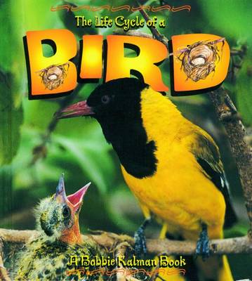 Book cover for The Life Cycle of a Bird