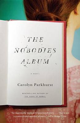 Book cover for The Nobodies Album