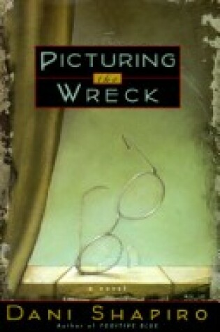 Cover of Picturing the Wreck-P351661/3 (Nxtrep)