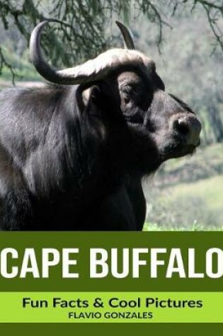 Cover of Cape Buffalo