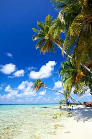 Cover of Tropical Beach in the Bahamas