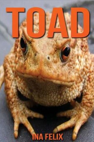 Cover of Toad