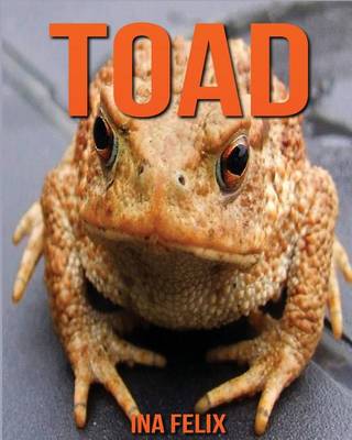 Book cover for Toad