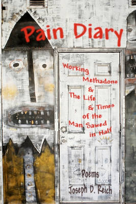 Book cover for Pain Diary