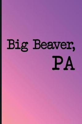 Book cover for Unique Bucket List Ideas Big Beaver, Pa