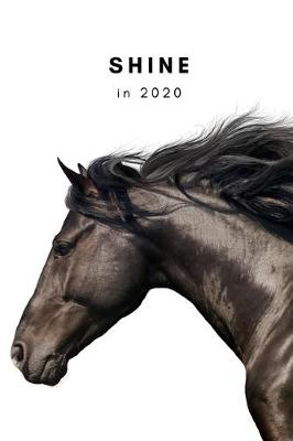 Book cover for Shine in 2020