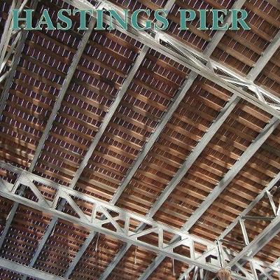 Book cover for The Hastings Pier