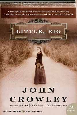 Book cover for Little, Big