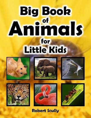 Book cover for Big Book of Animals for Little Kids