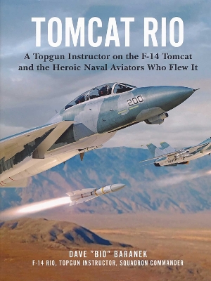 Book cover for Tomcat Rio