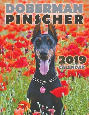 Book cover for Doberman Pinscher 2019 Calendar