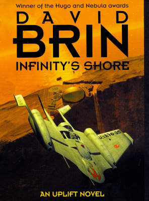 Book cover for Infinity's Shore