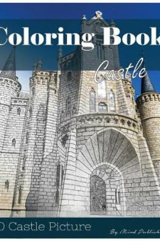 Cover of Castle 30 Pictures, Sketch Grey Scale Coloring Book for Kids Adults and Grown Ups
