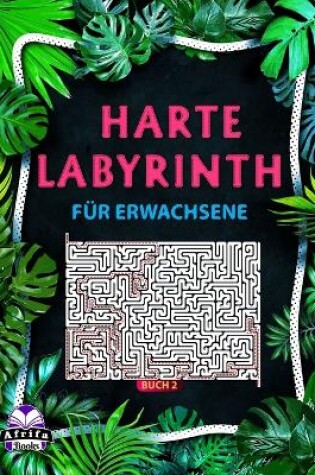Cover of Harte Labyrinthbücher für Erwachsene Buch 2