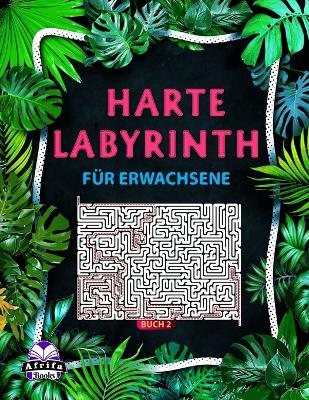 Book cover for Harte Labyrinthbücher für Erwachsene Buch 2