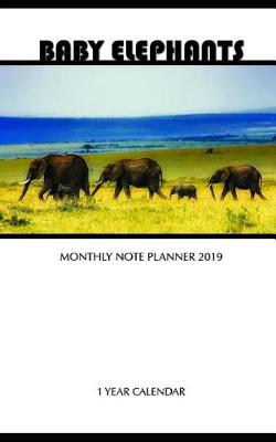 Book cover for Baby Elephants Monthly Note Planner 2019 1 Year Calendar