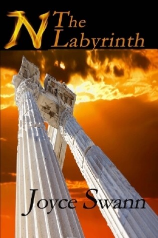 Cover of N The Labyrinth