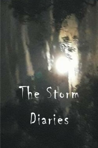 Cover of The Storm Diaries