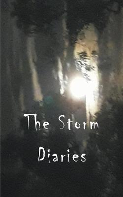 Book cover for The Storm Diaries