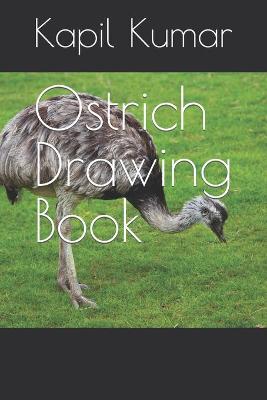 Book cover for Ostrich Drawing Book