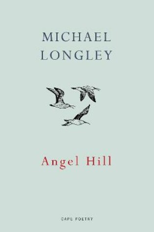 Cover of Angel Hill