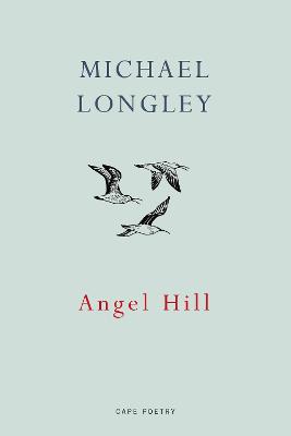 Book cover for Angel Hill