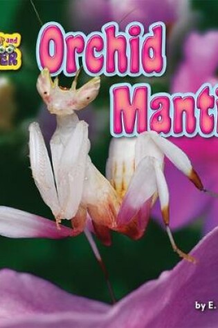 Cover of Orchid Mantis